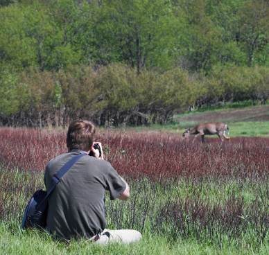 Wildlife Biologist | Career Profile | AgCareers.com